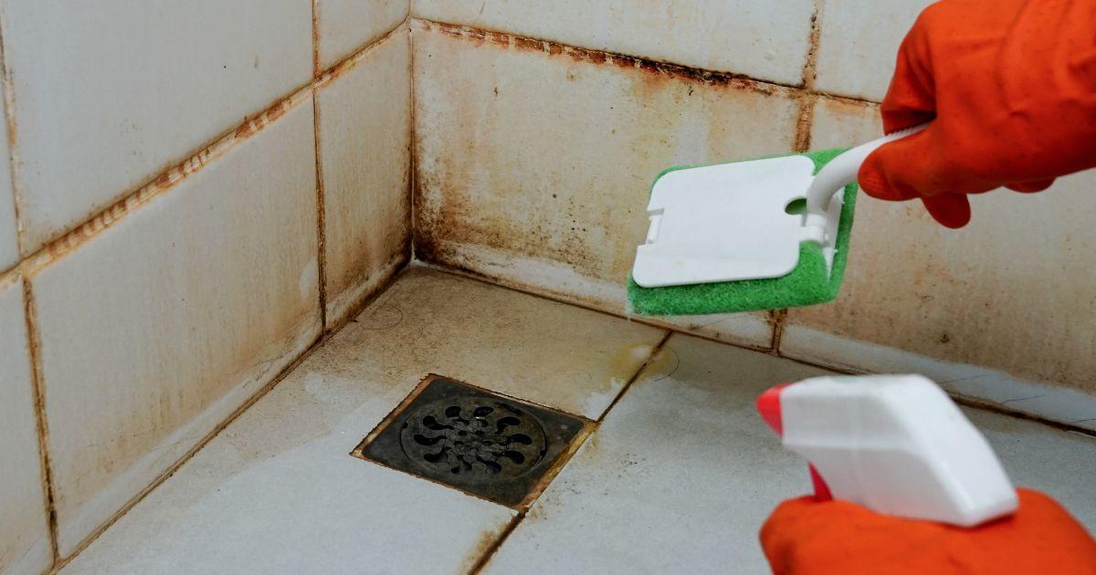 One man turn $2000 into a $1million cleaning business empire